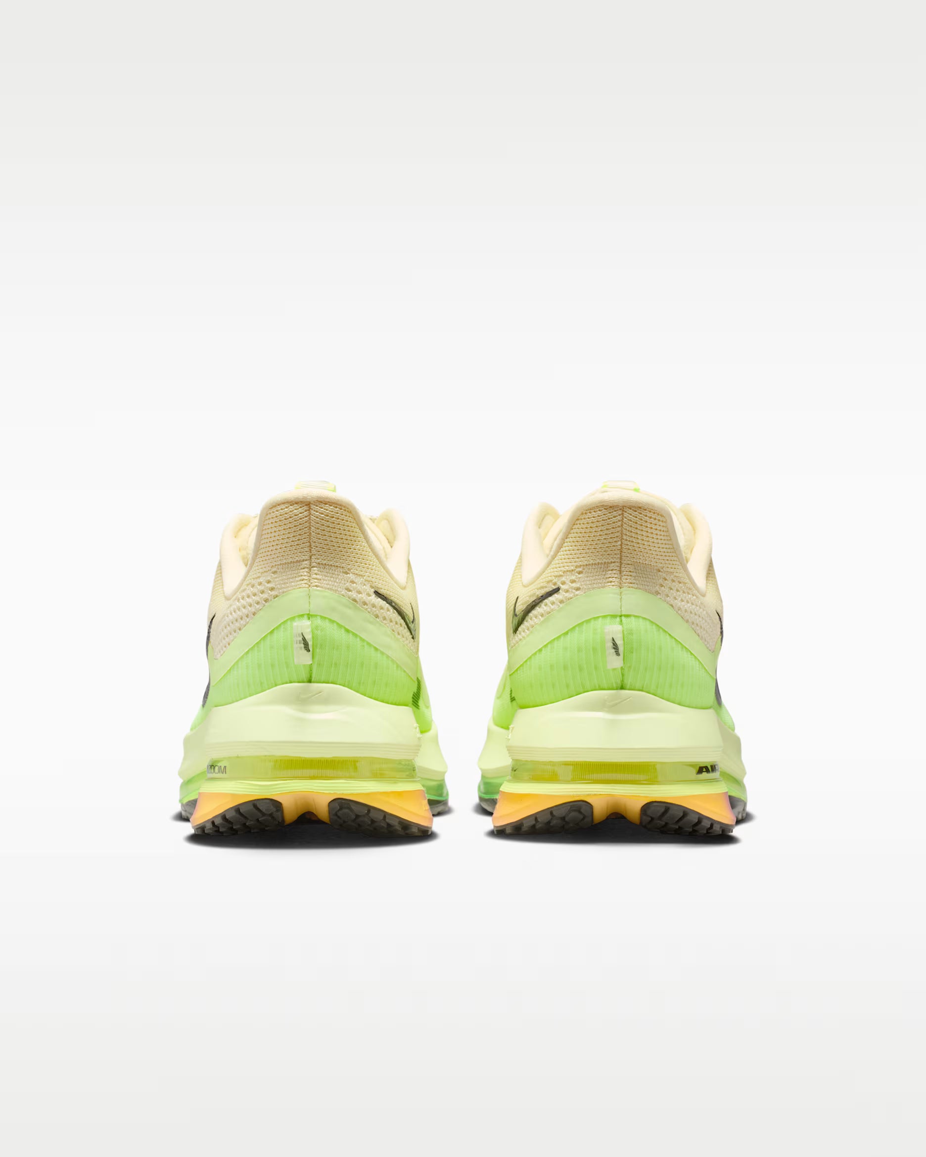 Nike Pegasus Premium